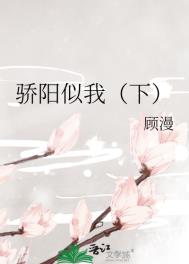 骄阳似火小说