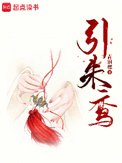引朱砂小说